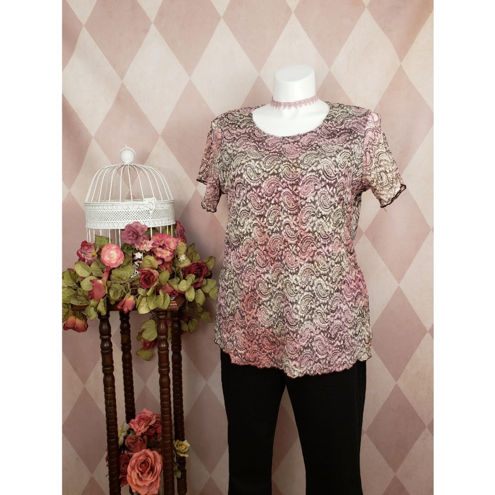 🆕️ Dressbarn | Lace Sparkle Top